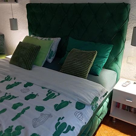 Green Cactus Rooms - Unique And Cozy House Senta Екстериор снимка