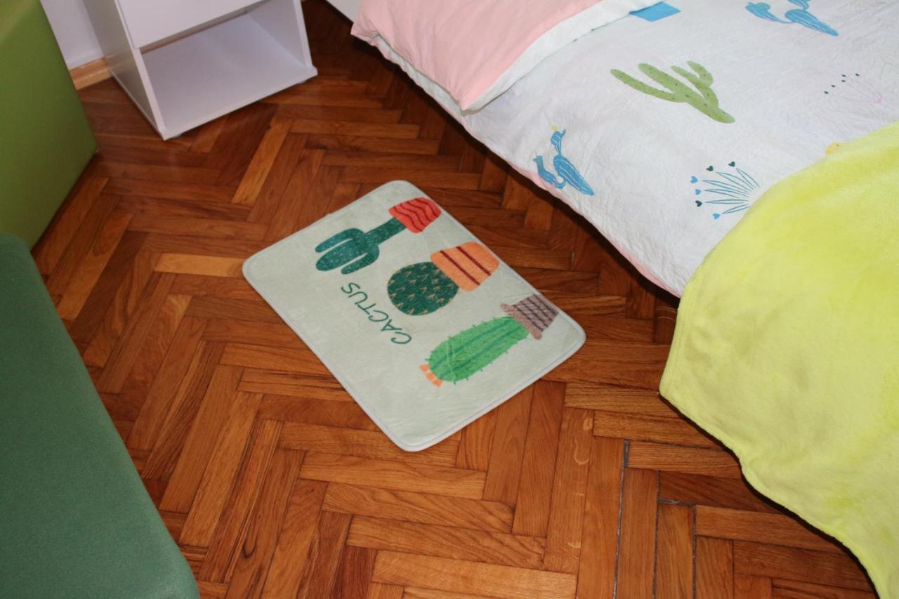 Green Cactus Rooms - Unique And Cozy House Senta Екстериор снимка