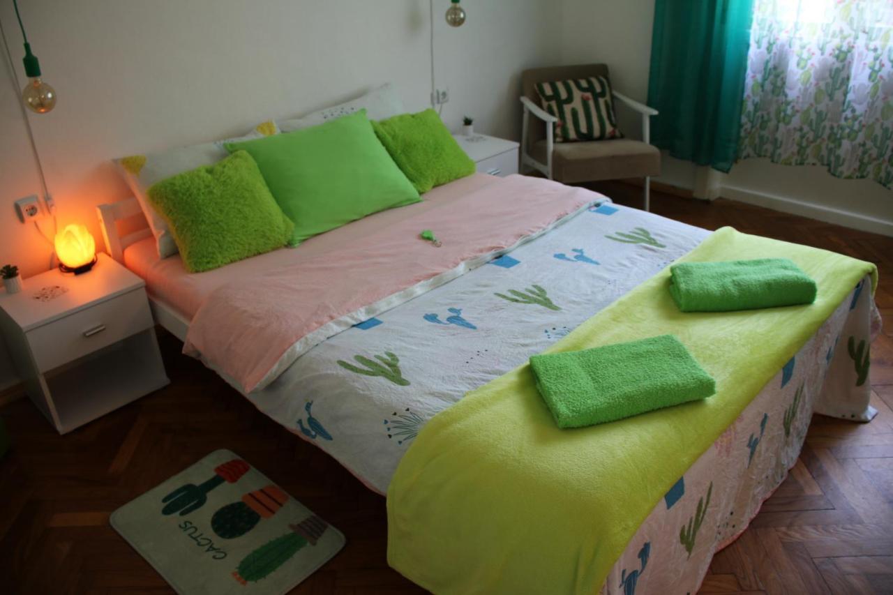 Green Cactus Rooms - Unique And Cozy House Senta Екстериор снимка