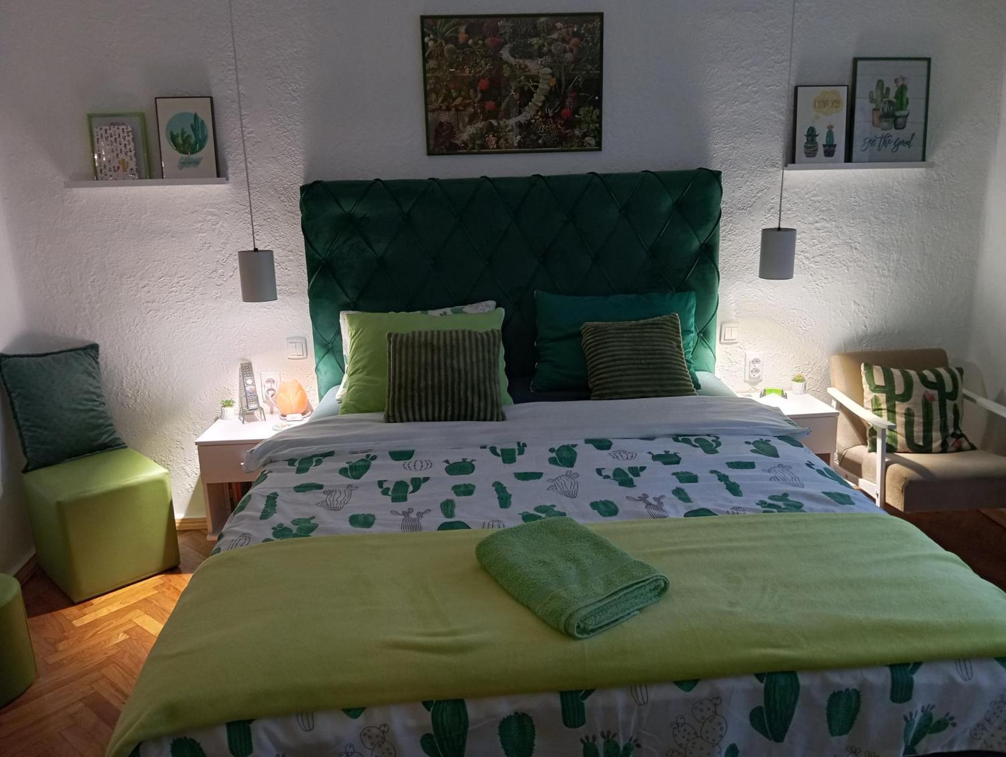 Green Cactus Rooms - Unique And Cozy House Senta Екстериор снимка